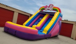 Unicorn Single Waterslide